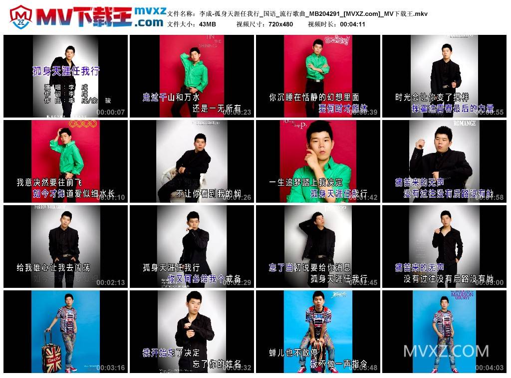 李成-孤身天涯任我行_国语_流行歌曲_MB204291